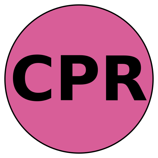 CareerPro Resources
